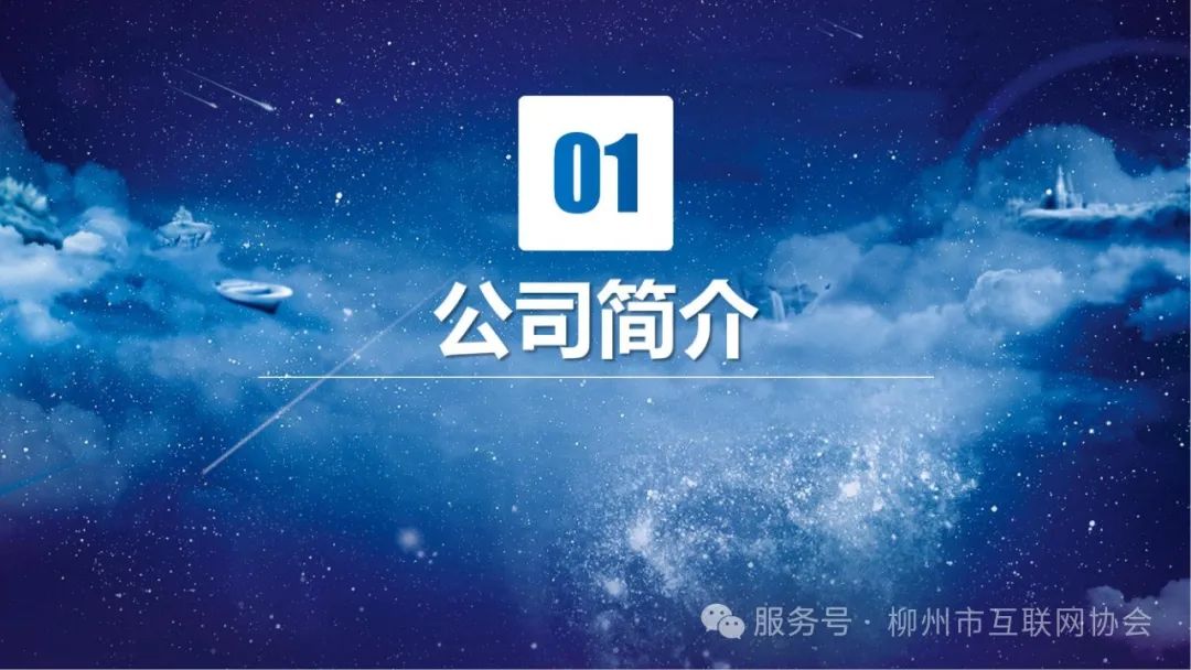 柳州市元众经贸有限责任公司简介_02.jpg