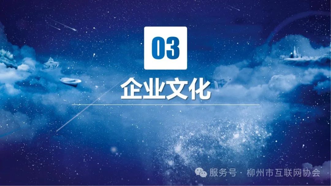 柳州市元众经贸有限责任公司简介_10.jpg